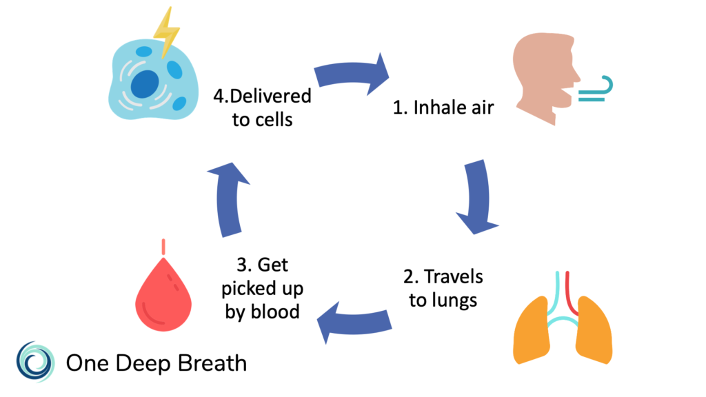 Stressed? Science Shows These 3 Breathing Exercises Can Help Fast.